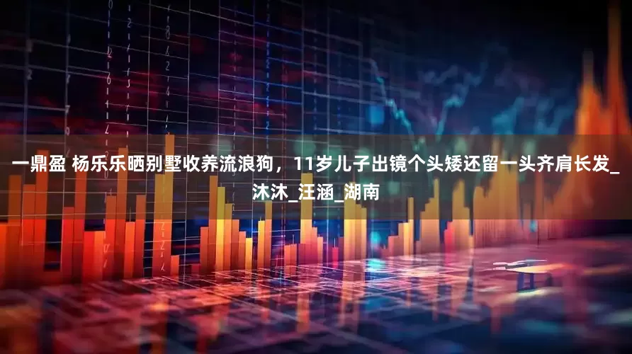 一鼎盈 杨乐乐晒别墅收养流浪狗，11岁儿子出镜个头矮还留一头齐肩长发_沐沐_汪涵_湖南