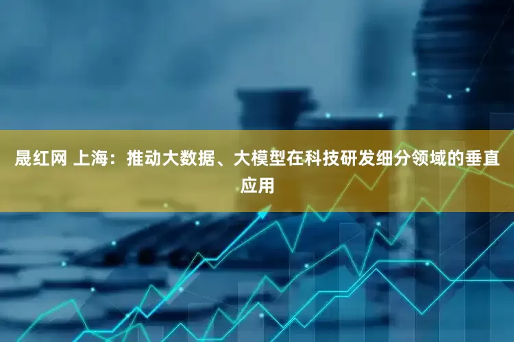 晟红网 上海：推动大数据、大模型在科技研发细分领域的垂直应用
